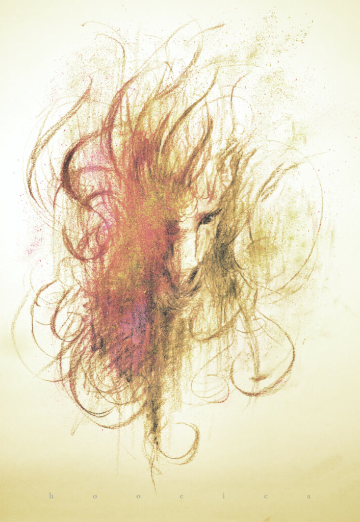 hoocica2026年賀状